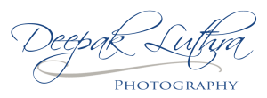 default-logo